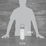 Stanley IceFlow 22 oz Insulated Straw Bottle