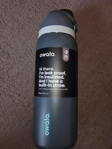 Owala 32oz Insulated Stainless Steel Water Bottle - Gray
