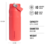 Stanley IceFlow Flip Straw Water Bottle 0.7L