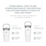 Stanley IceFlow 30oz Stainless Steel Tumbler