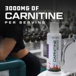Cutler Nutrition Liquid L-Carnitine Energy Supplement