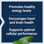 Life Extension L-Carnitine 500 mg for Energy