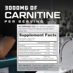Cutler Nutrition Liquid Carnitine 3000 - Watermelon Flavor