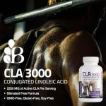 Bronson CLA 3000 for Weight Management & Muscle
