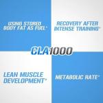 Evlution CLA 1000mg Weight Loss Pills - 90 Count