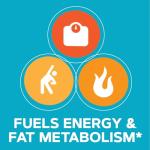 GNC Total Lean CLA for Fat Loss and Energy