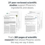 Legion Phoenix Thermogenic Fat Burners - 90 Capsules