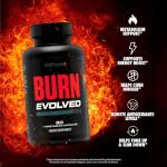 V Shred Burn Thermogenic Fat Burner - 60 Veggie Pills