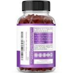 Sugar-Free Nighttime Fat Burner Gummies - Raspberry Flavor