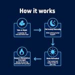 Night Time Burn & Sleep Complex for Weight Loss