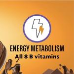 OWYN High Protein Chocolate Shake - 12 Pack