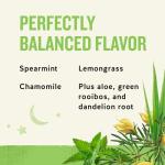 Sleepytime Detox Tea, Caffeine Free, 20 Bags