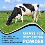 Unflavored Whey Protein Powder for Muscle Recovery
