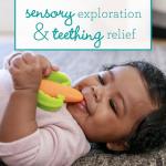 Infantino Nibbles Silicone Teether Toy for Babies