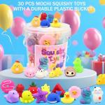 30 Pack Squishy Mochi Toys for Kids