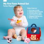 Surprise Barn Sensory Toy Set for Babies