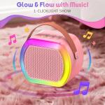 Mini Karaoke Machine with 2 Wireless Microphones