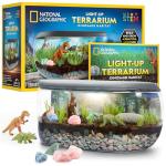 Light Up Dinosaur Habitat Kit for Kids