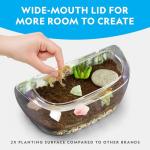 Light Up Dinosaur Habitat Kit for Kids