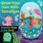 Axolotl Terrarium STEM Kit for Kids