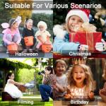 Elsa Dress Up Costume for Girls with Accessories