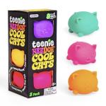 Schylling NeeDoh Mini Cool Cat Sensory Toy