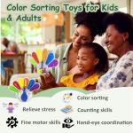 Color Sorting Sensory Toy for Kids and Toddlers