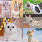 Sparkly Breakaway Cat Collar with Bell, Pink