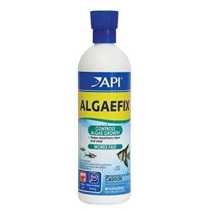 API Algaefix 16-Ounce Algae Control Solution