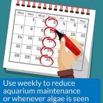 API Algaefix 16-Ounce Algae Control Solution