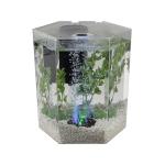 Hexagon LED Aquarium Kit with Color-Changing Light