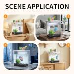 1.5 Gallon Betta Fish Tank with LED Light