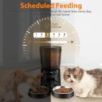 Automatic Double Cat Feeder with Timer and Bowls