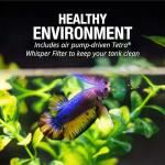 Hexagon LED Aquarium Kit with Color-Changing Light