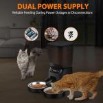 Automatic Double Cat Feeder with Timer and Bowls