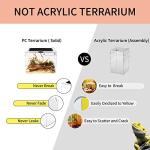 Mini Reptile Terrarium for Various Creatures