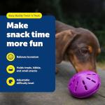 PetSafe Twist'n Treat Meal Dispenser & Toy