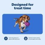 PetSafe Twist'n Treat Meal Dispenser & Toy