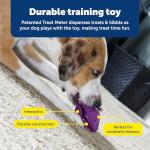 PetSafe Twist'n Treat Meal Dispenser & Toy