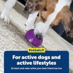 PetSafe Twist'n Treat Meal Dispenser & Toy