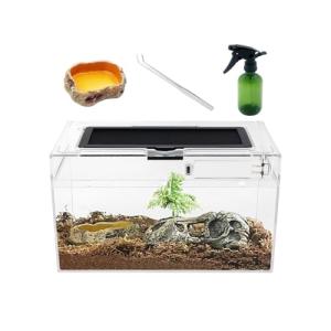 Mini Reptile Terrarium for Various Pets