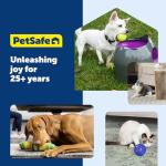 PetSafe Twist'n Treat Meal Dispenser & Toy