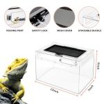 Mini Reptile Terrarium for Various Pets