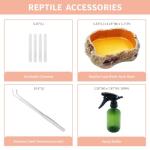 Magnetic Button Reptile Tank Enclosure - 12"x8"x6