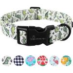 Funny Dinosaur Dog Collar for Small Dogs