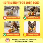 Interactive Dog Treat Dispenser Puzzle Toy