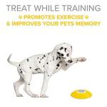Remote Dog Treat Dispenser for Training Fun