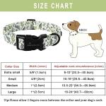 Funny Dinosaur Dog Collar for Small Dogs