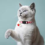 7 Pack Adjustable Breakaway Cat Collars with Bells