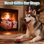 Voice Recording Dog Buttons - 8 Fun Colors